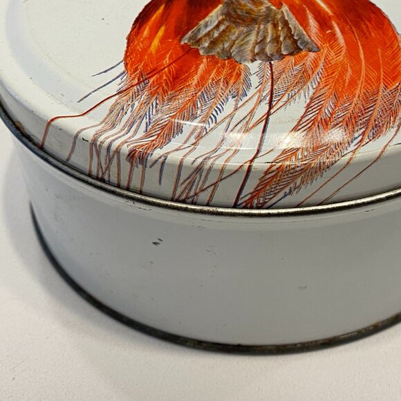 Vintage Birds of Paradise Empty Cookie Cake Tin White Round Farmhouse Decor - Picture 3 of 6